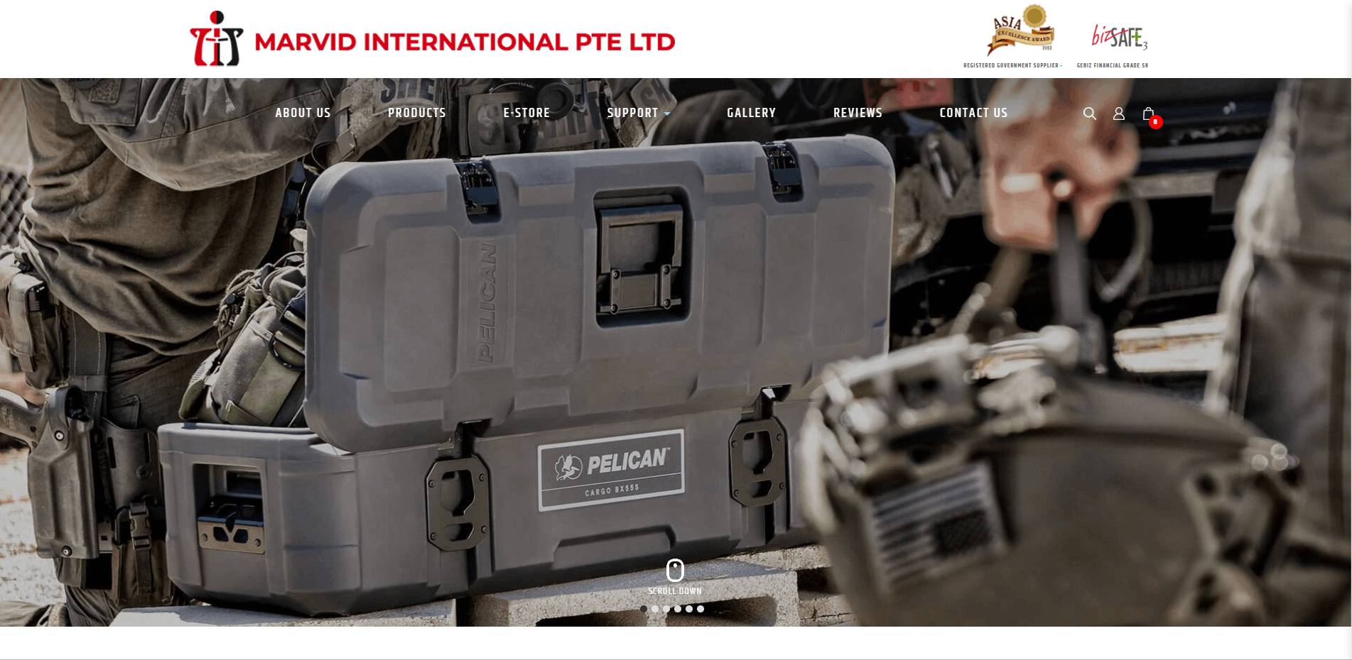 Marvid International